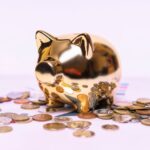 Egenkapital: En Nøkkelkomponent for Økonomisk Stabilitet